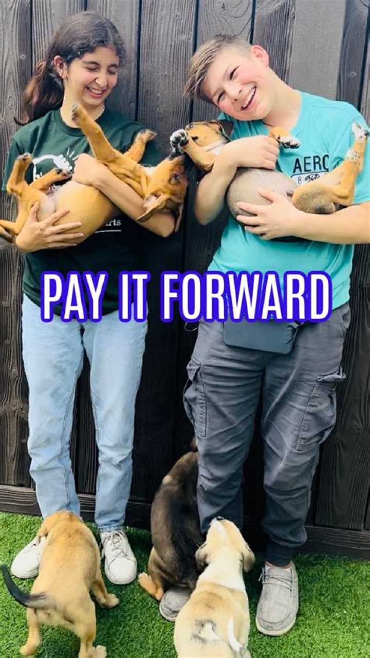 Can peeps kill dogs?