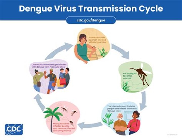Can plague spread from person to person?