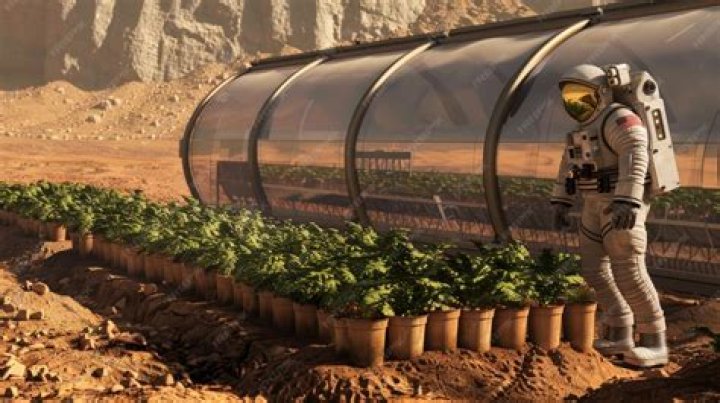 Can plants grow in mars atmosphere?