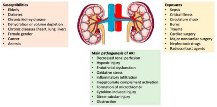Can qsymia cause kidney problems?