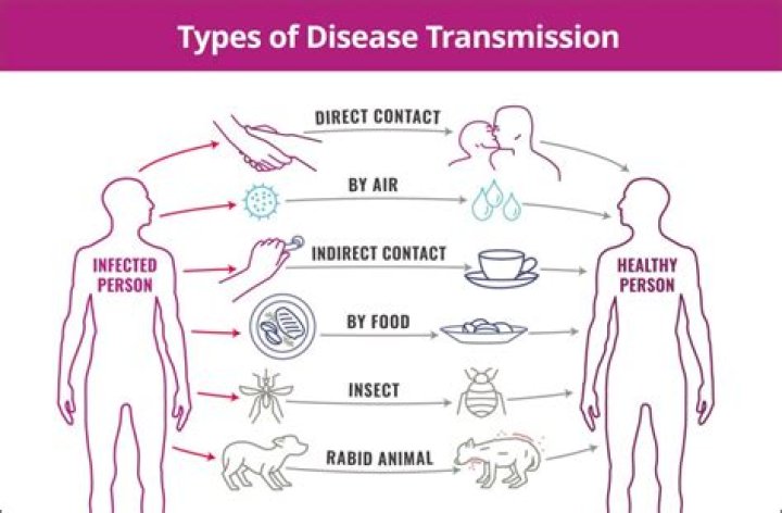 Can schistosomiasis be transmitted from person to person?