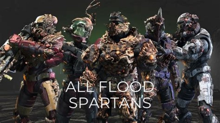 Can spartans be infected by the flood?