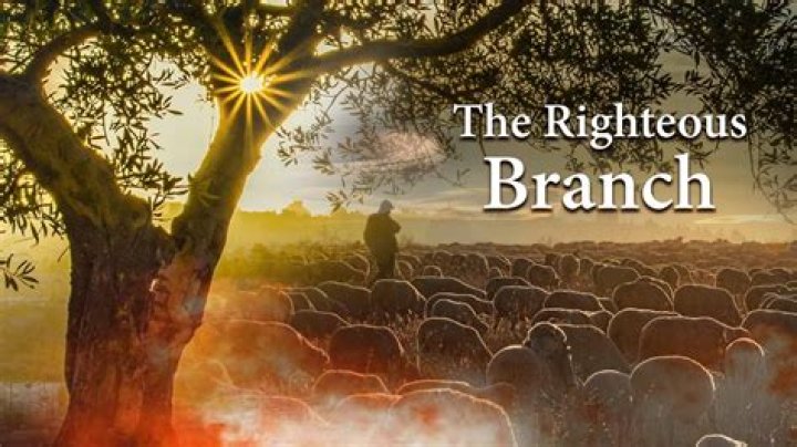 Can the righteous be afflicted?