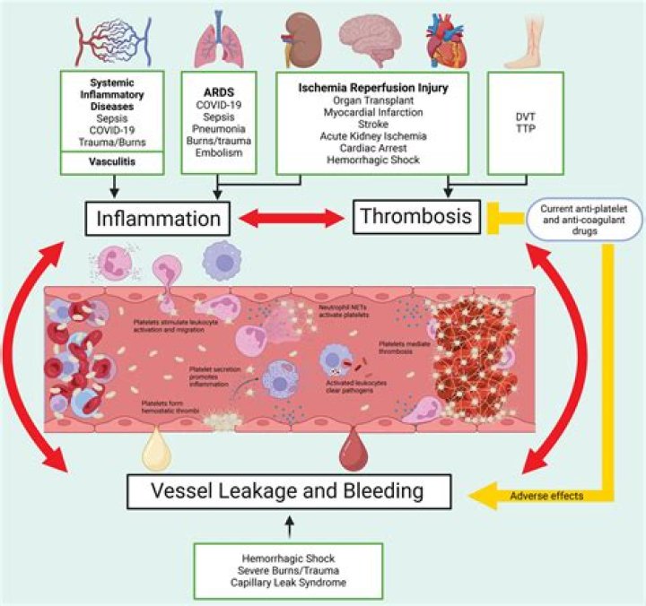 Can thrombin be injected?