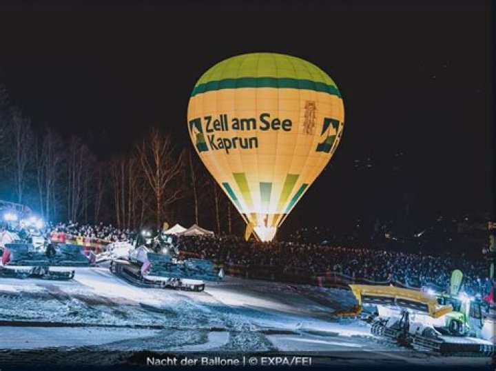 Can tiger see at night?