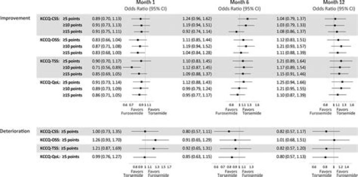 Can torsemide and lasix be given together?