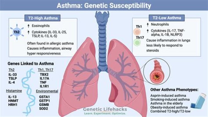 Can trees cause asthma?
