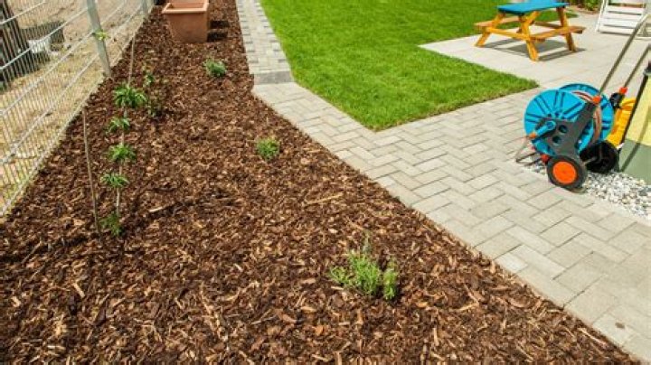 Can twigs be used as mulch?