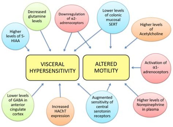 Can visceral hypersensitivity be cured?