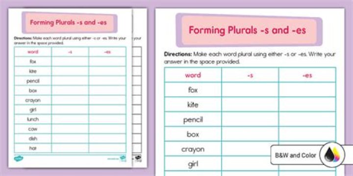 Can we use the before plural?