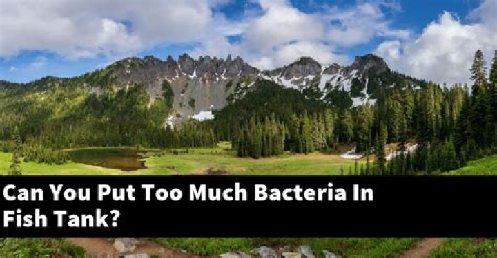 Can you add too much nitrifying bacteria?