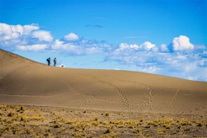 Can you camp at bruneau sand dunes?