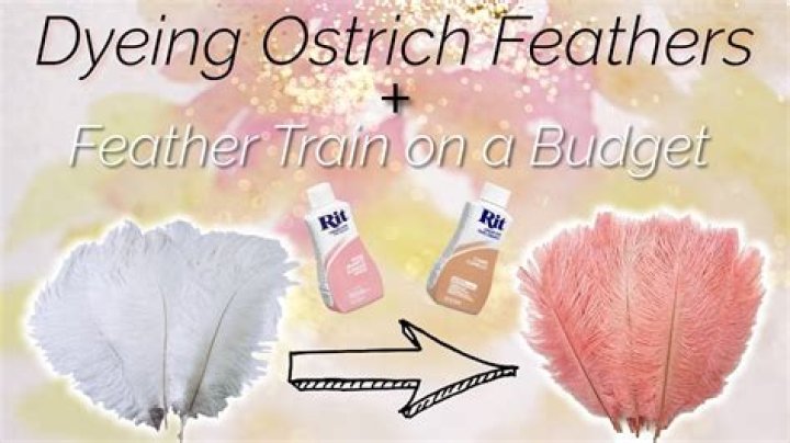 Can you dye ostrich feathers?