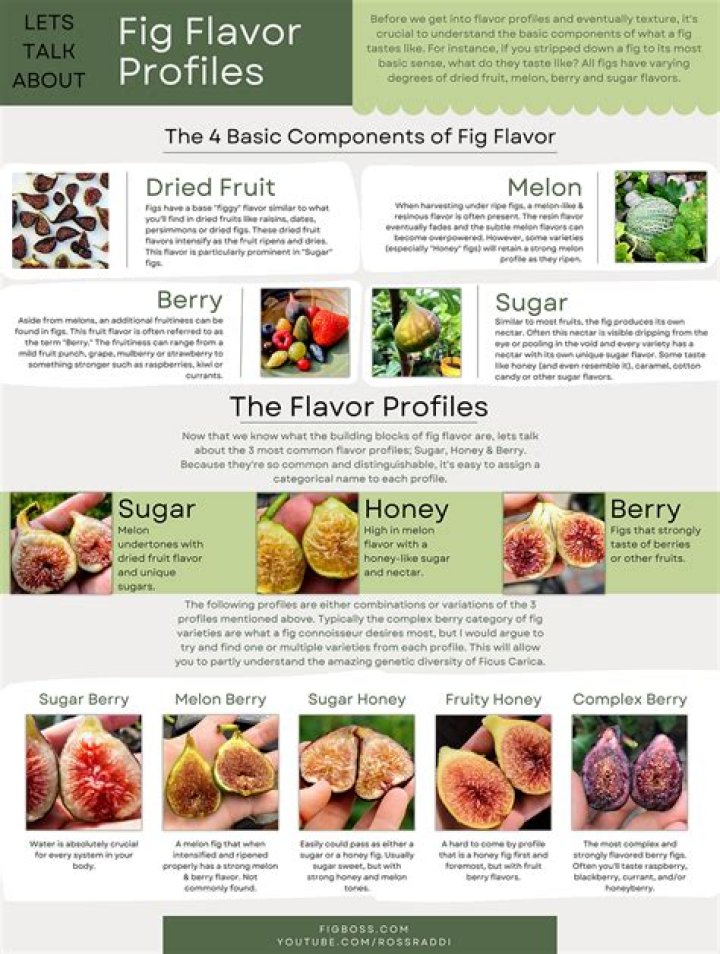 Can you eat barbary fig?