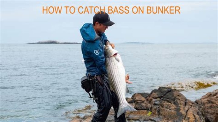 Can you eat bunker fish?