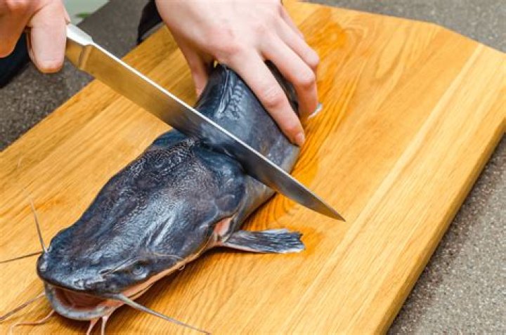 Can you eat catfish?