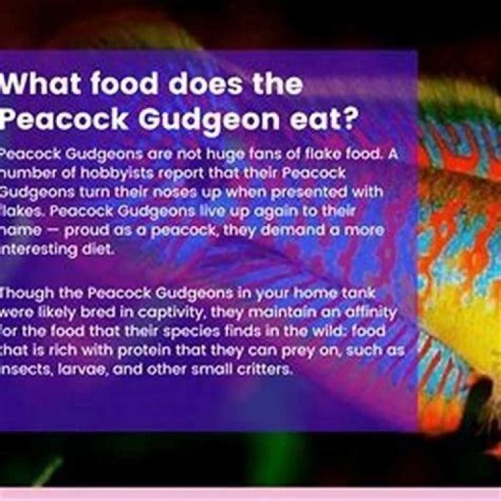 Can you eat gudgeon?