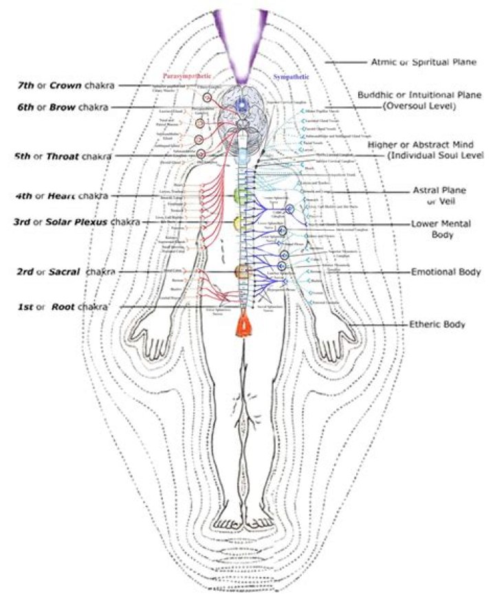 Can you feel meridians?