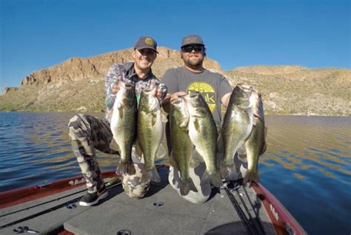 Can you fish at lake louise?
