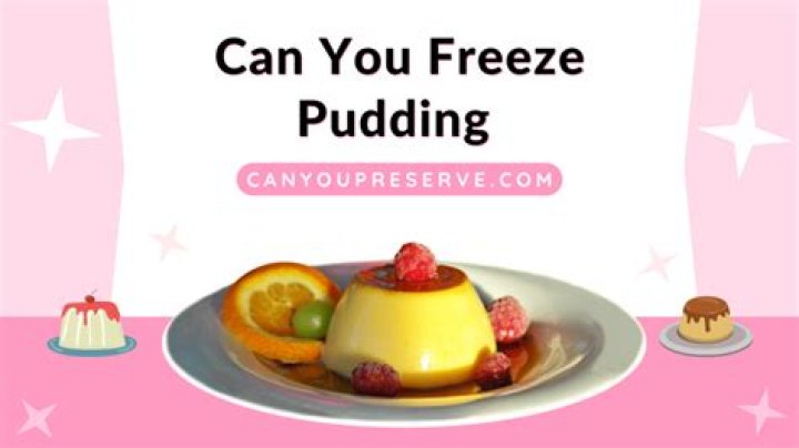 Can you freeze pudding?