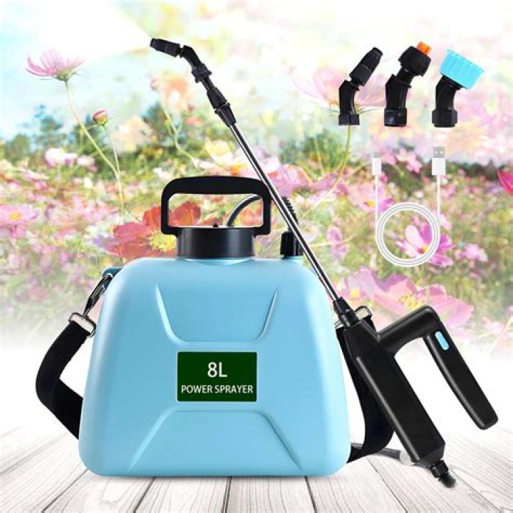 Can you fumigate for roaches?