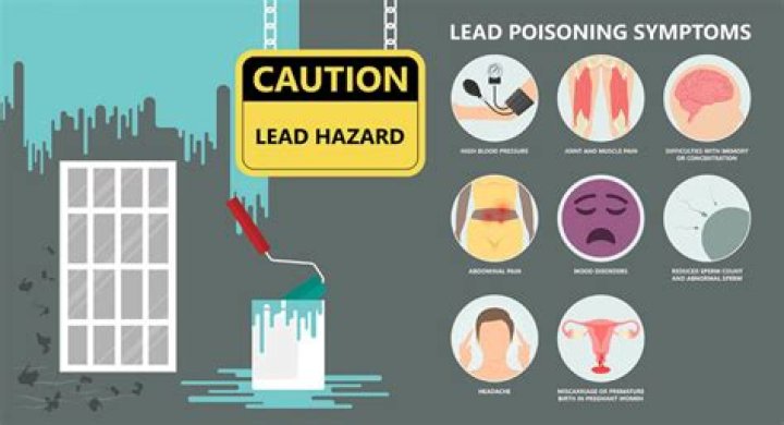 Can you get lead poisoning from handling lead?