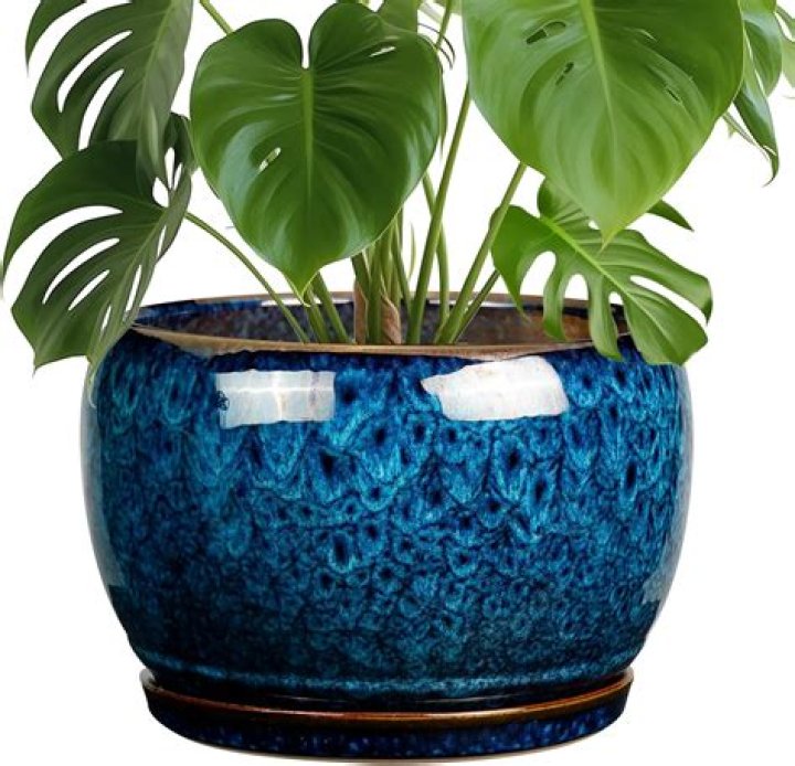 Can you have both pots and ist?