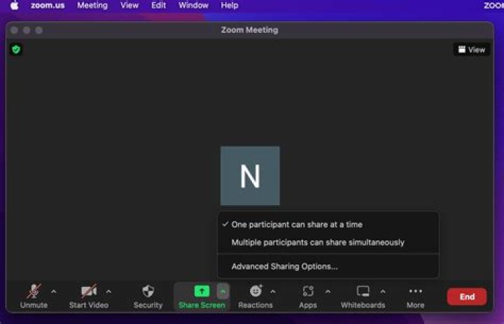 Can you hide attendees in zoom?