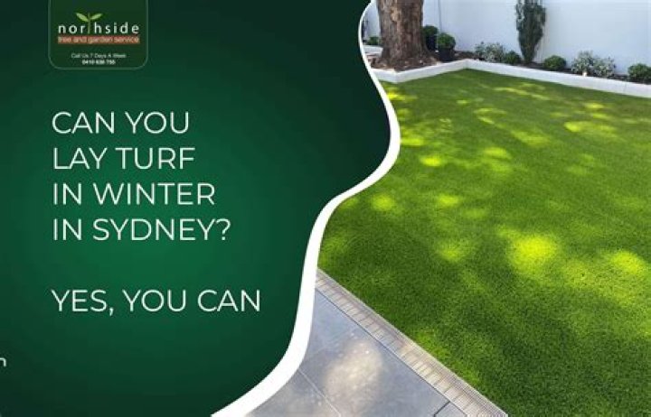 Can you lay turf in winter?