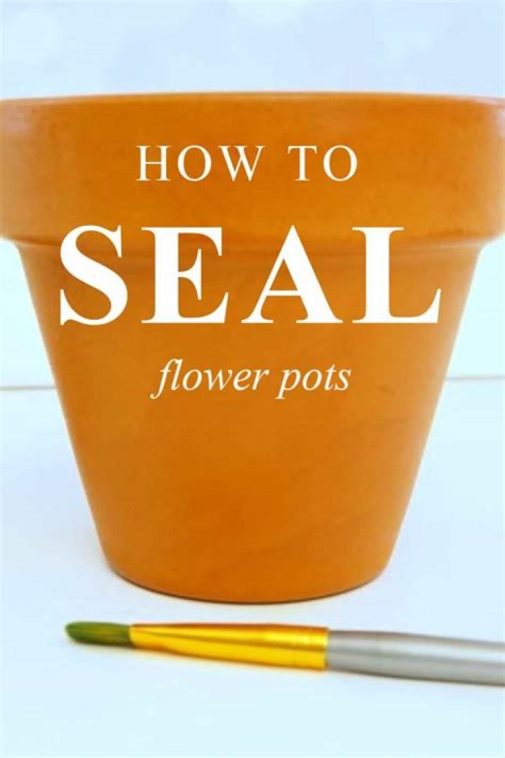 Can you paint clay pots?