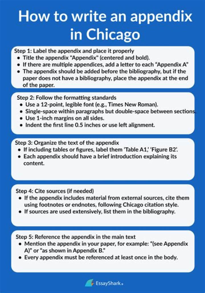 Can you put appendix in essays?