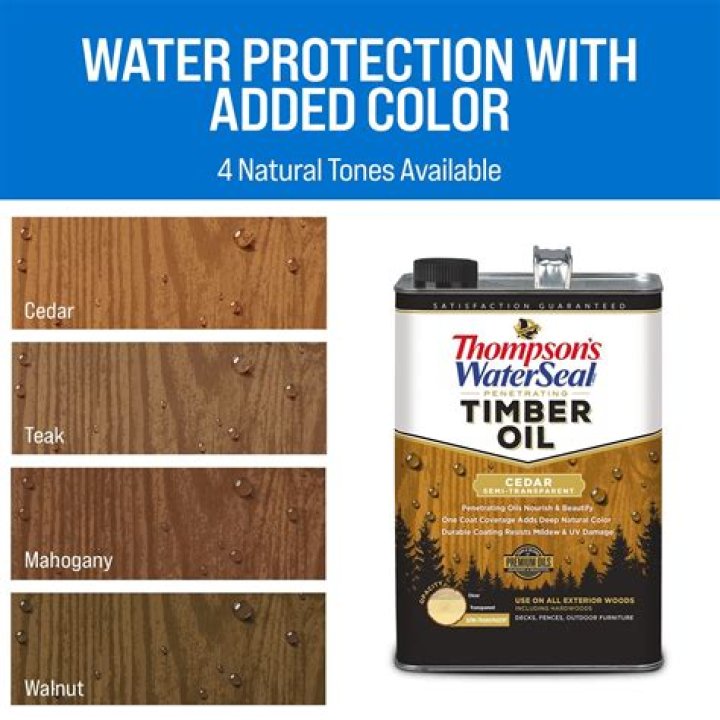Can you put thompsons water seal over paint?