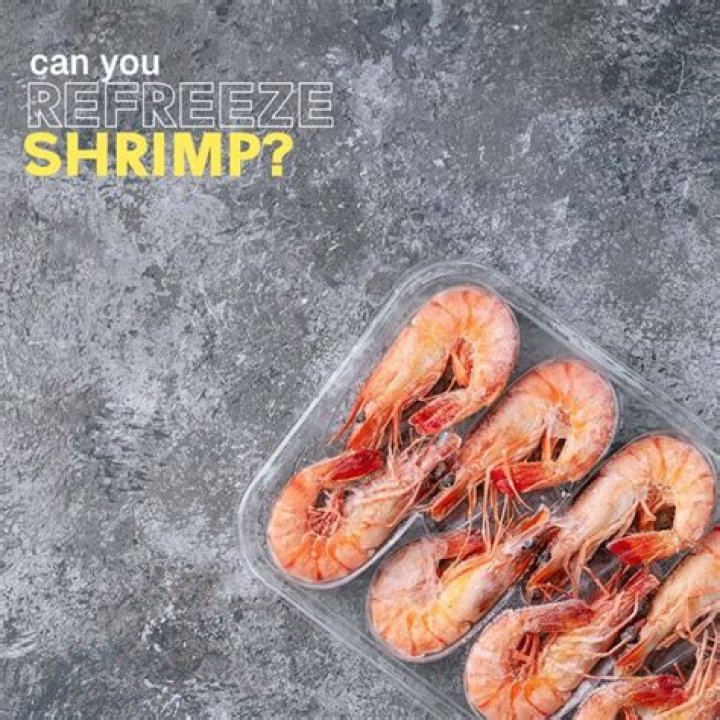 Can you refreeze shrimp?
