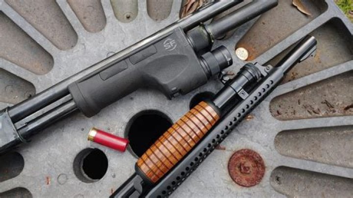 Can you shoot coots?