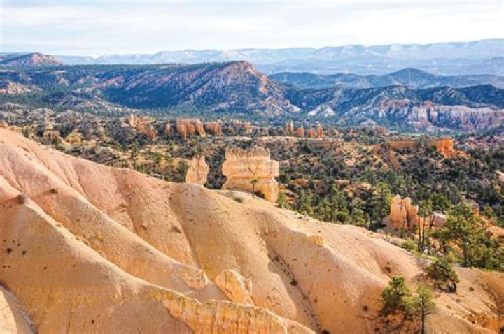 Can you swim at fort desoto?
