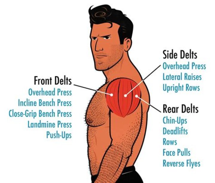 Can you train for broader shoulders?