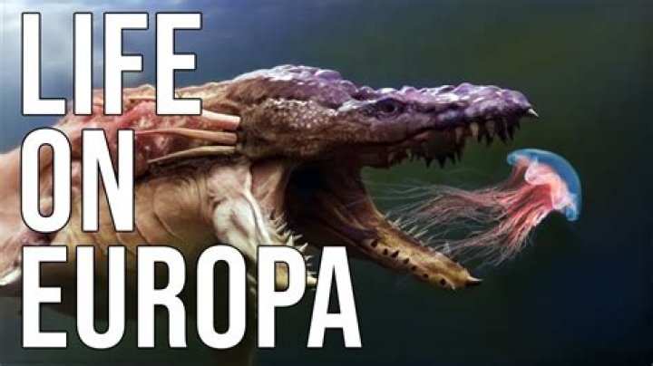Could europa support life?