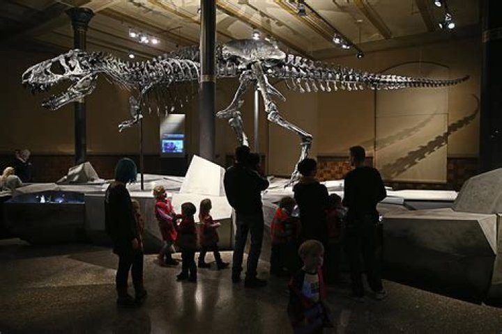 Could humans and dinosaurs coexist?