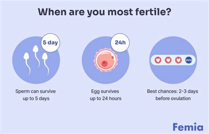 Could i be pregnant before my period?