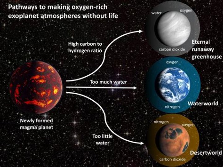 Could life exist without carbon?
