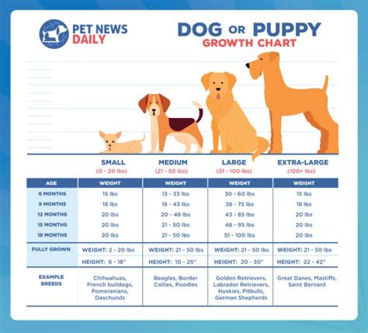 Could my puppy be deaf?