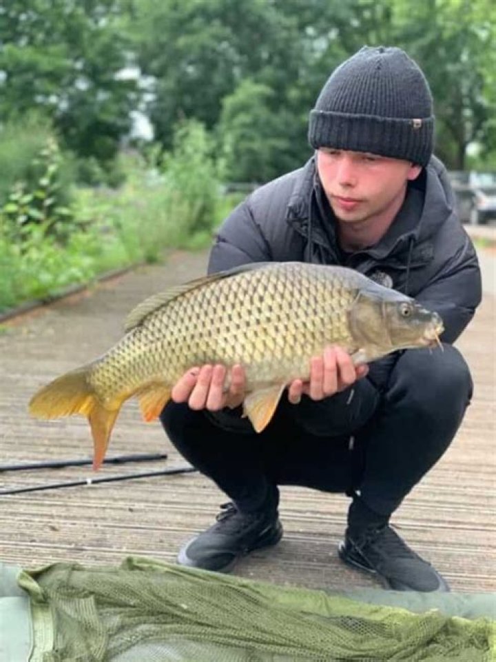 Could you eat carp?