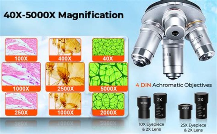 Could you use a microscope as a telescope?