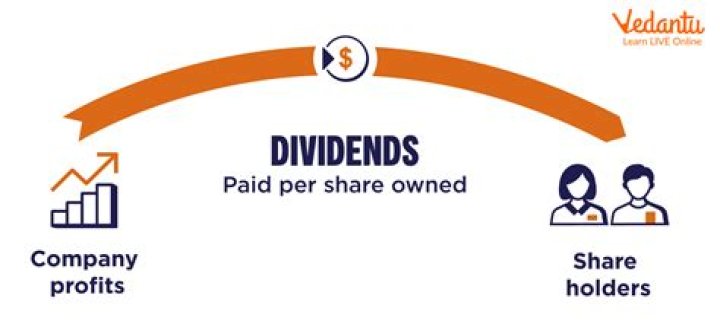 Did adient pay dividends in 2019?
