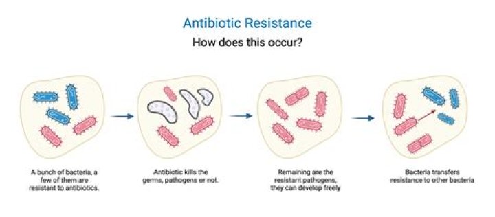Did anyone survive tb before antibiotics?