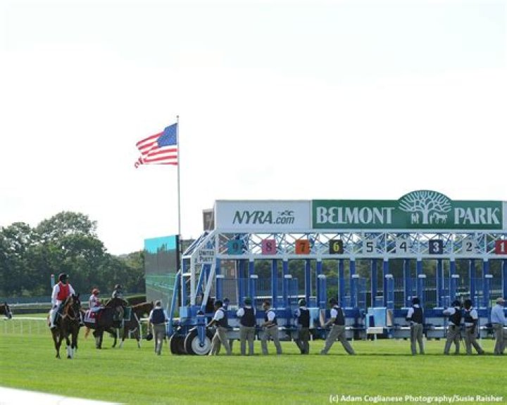 Did authentic run in the 2020 belmont?
