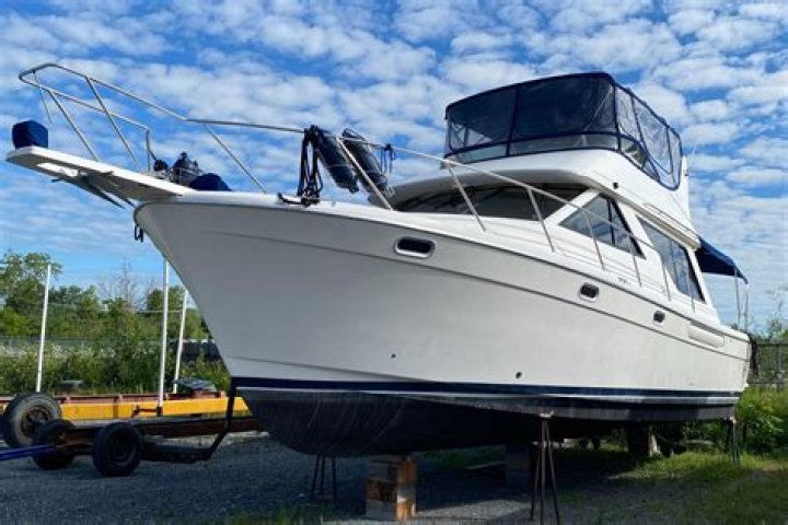 Did bayliner make sailboats?