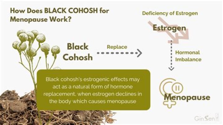Did black cohosh work for you?