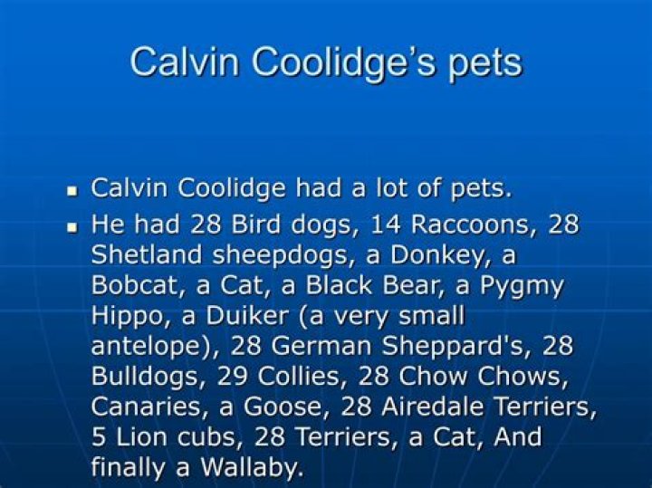 Did calvin coolidge have any pets?