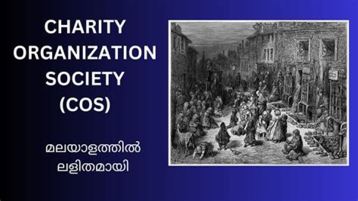 Did charity organization societies?